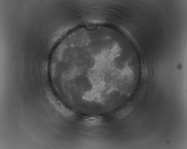 X0000116580447200912312018