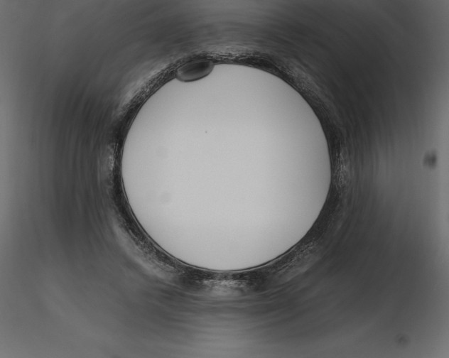 X0000116580448200912312018