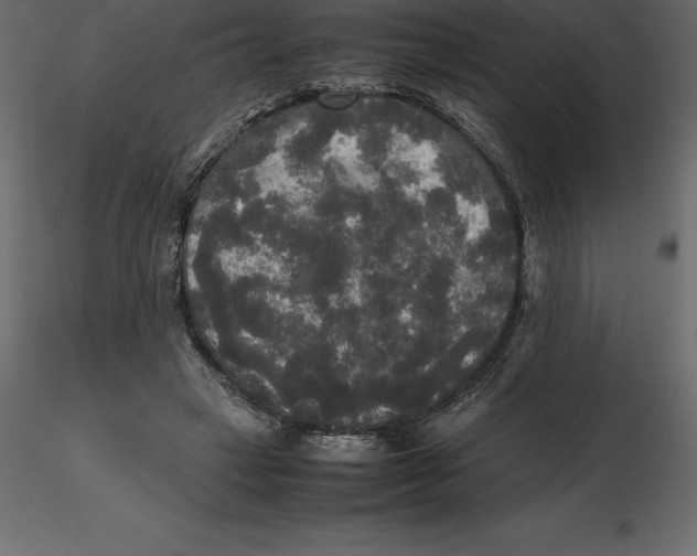 X0000116580449200912312018