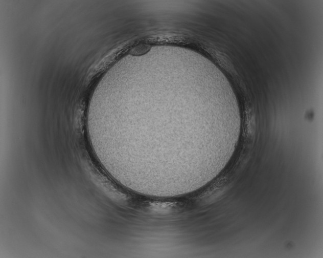 X0000116580450200912312018