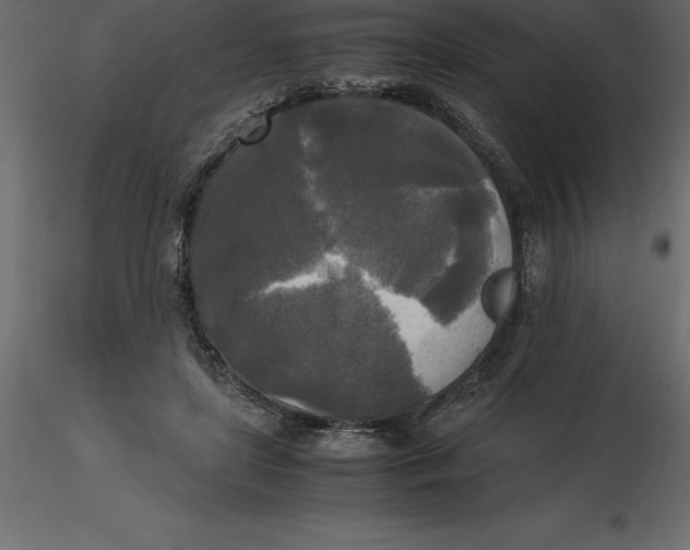 X0000116580451200912312018