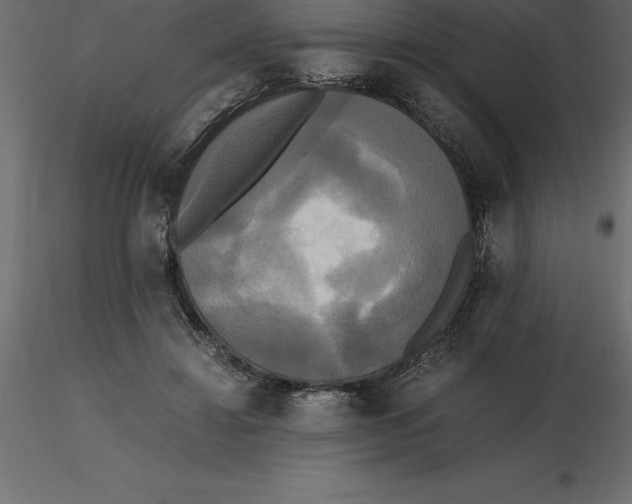 X0000116580452200912312018