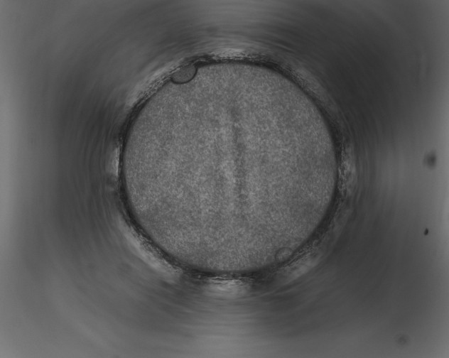 X0000116580454200912312018