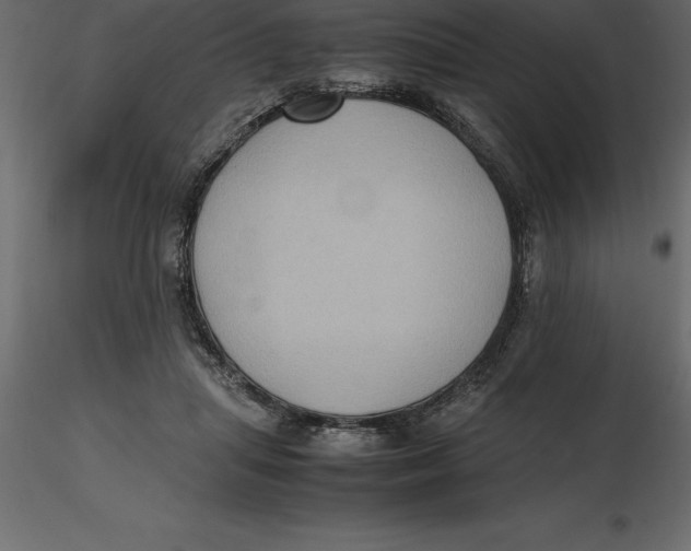 X0000116580455200912312018