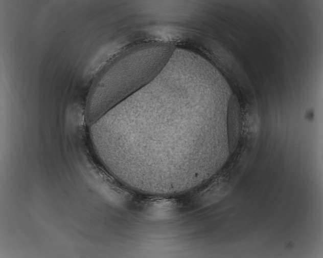 X0000116580456200912312018