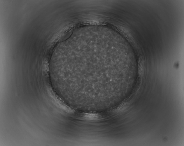 X0000116580457200912312018