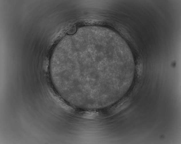 X0000116580458200912312018