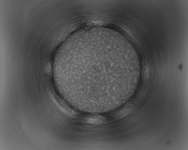 X0000116580459200912312018