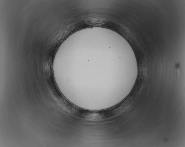 X0000116580460200912312018