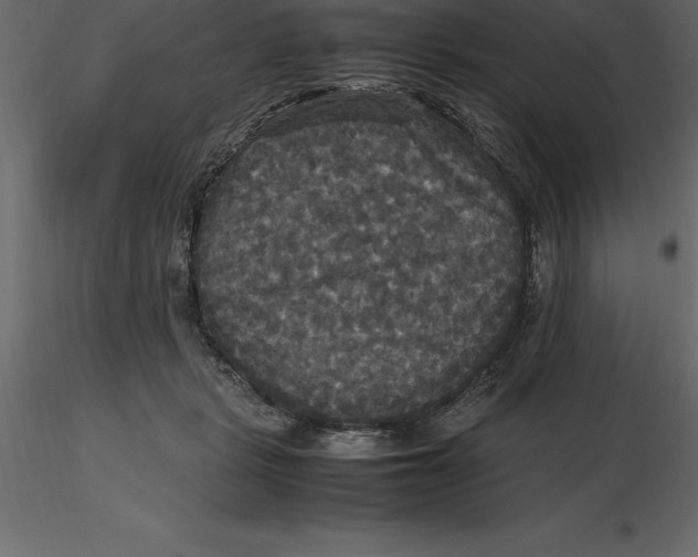 X0000116580461200912312018