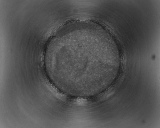 X0000116580462200912312018