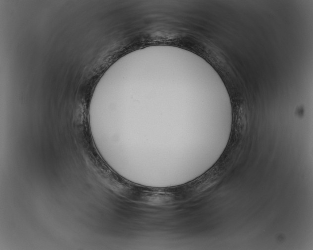 X0000116580463200912312018