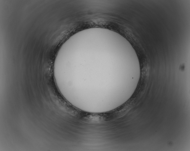 X0000116580464200912312018