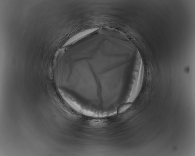 X0000116580465200912312018