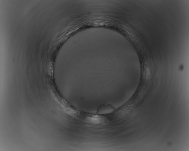 X0000116580467200912312018