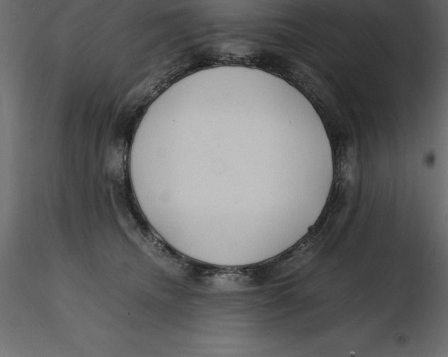 X0000116580468200912312018