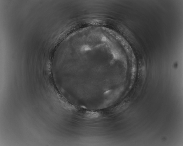 X0000116580469200912312018