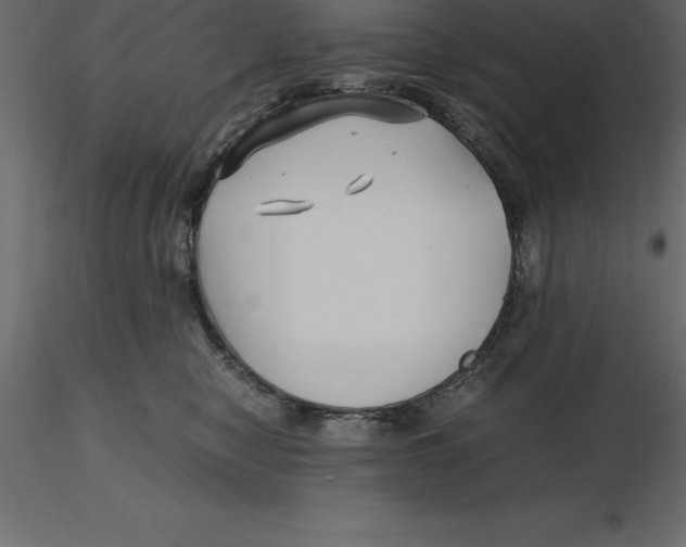 X0000116580470200912312018