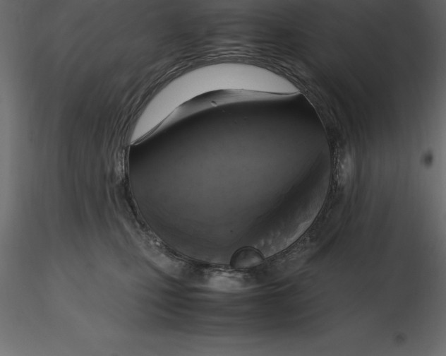 X0000116580471200912312018