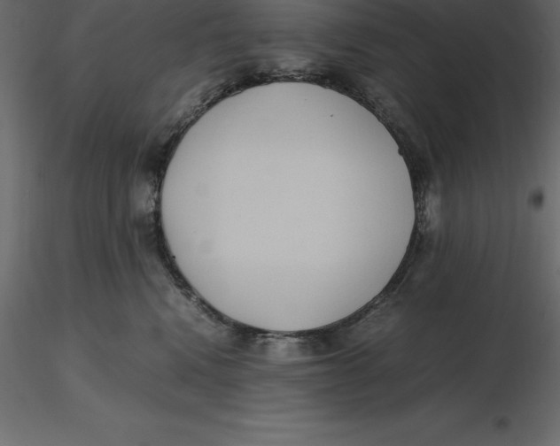 X0000116580472200912312018