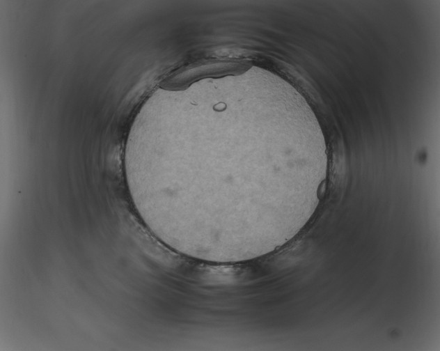 X0000116580473200912312018