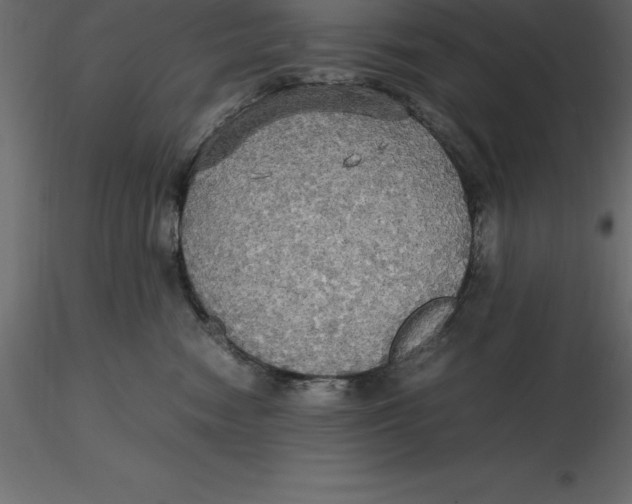 X0000116580474200912312018