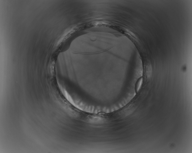 X0000116580475200912312018