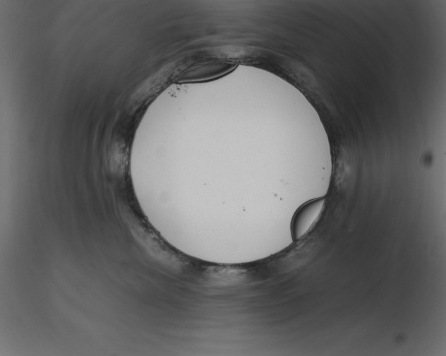 X0000116580476200912312018