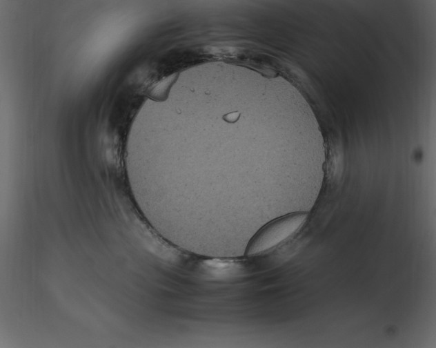 X0000116580477200912312018