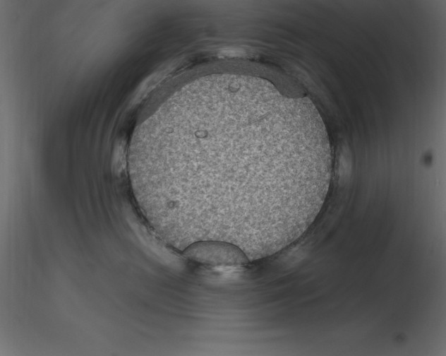 X0000116580478200912312018