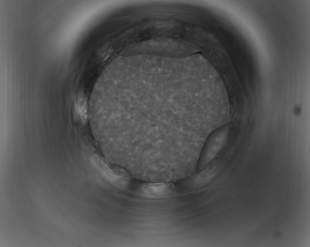 X0000116580479200912312018