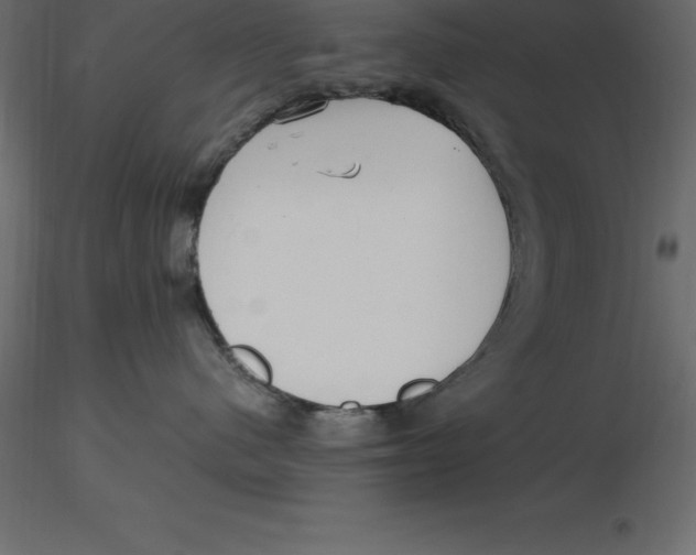 X0000116580480200912312018