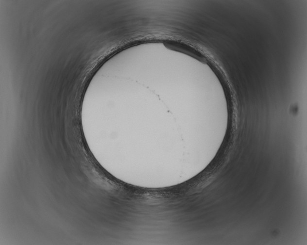 X0000116580481200912312018