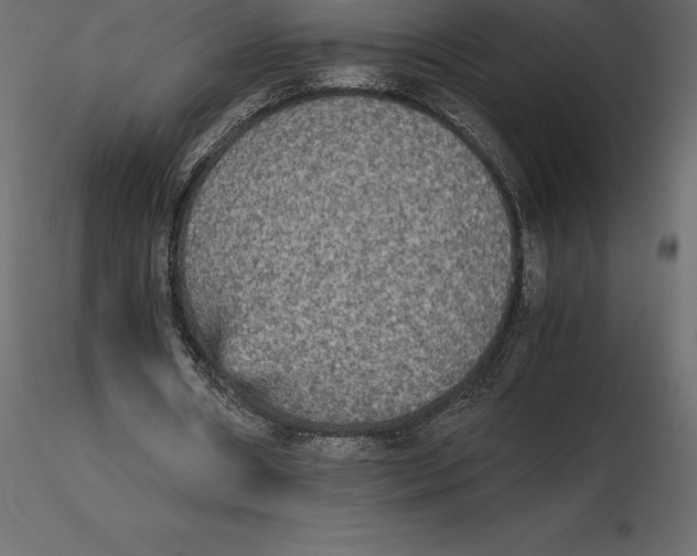 X0000116580482200912312018