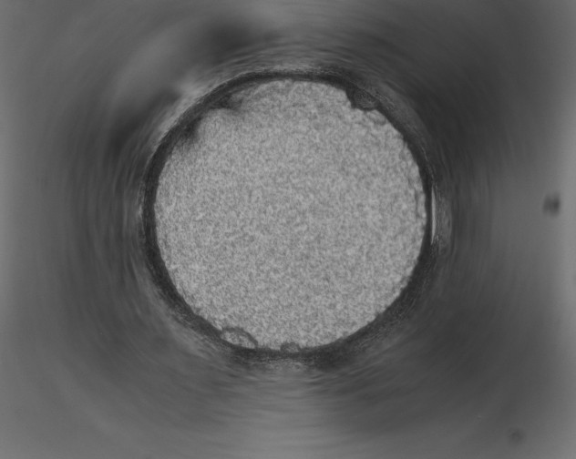 X0000116580483200912312018