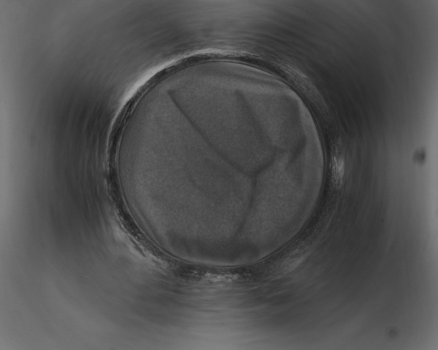 X0000116580484200912312018