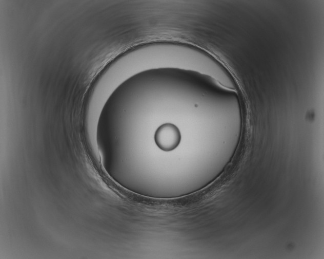 X0000116580485200912312018