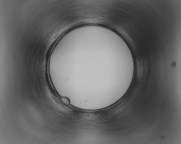 X0000116580486200912312018