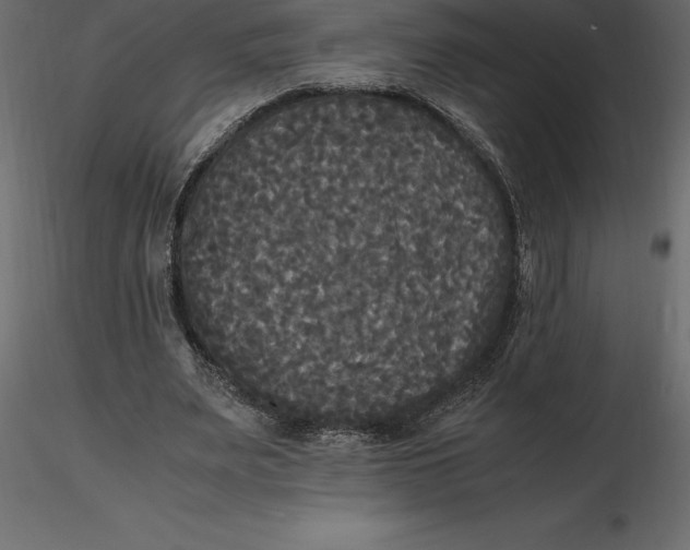 X0000116580487200912312018