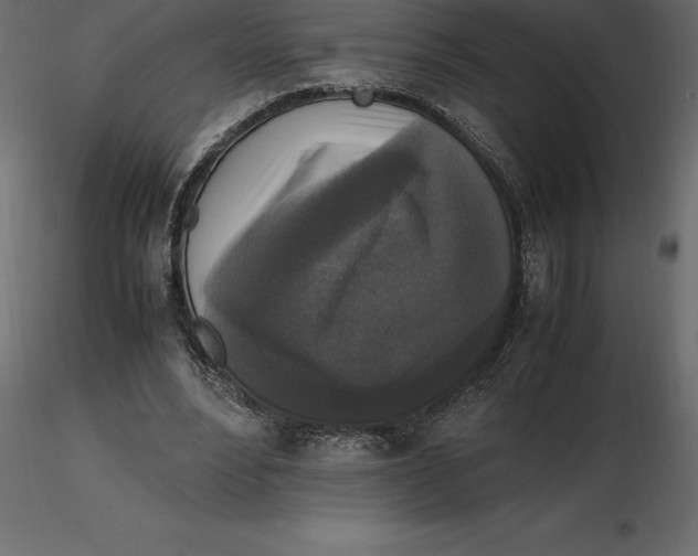 X0000116580488200912312018