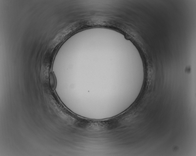 X0000116580489200912312018