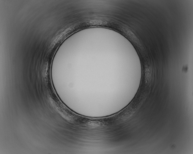 X0000116580490200912312018