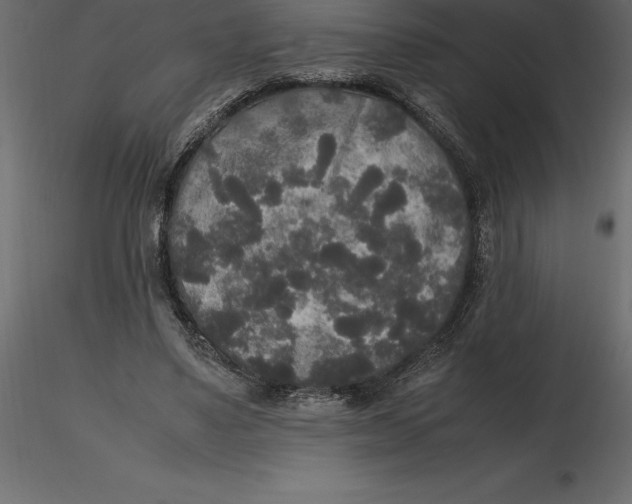 X0000116580491200912312018