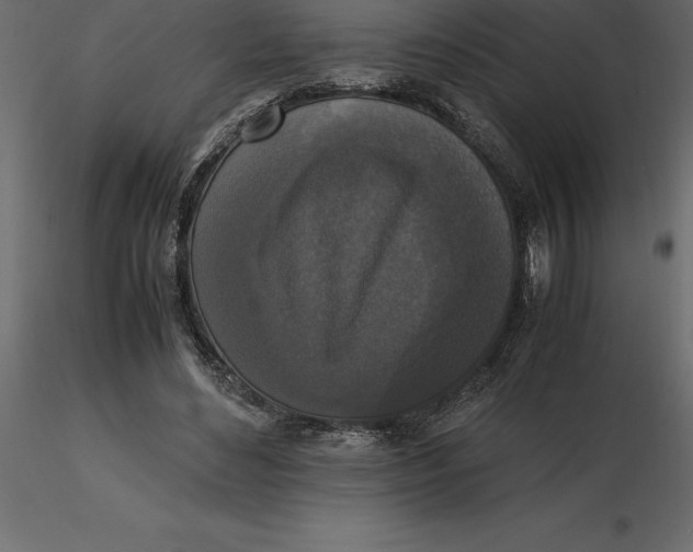 X0000116580492200912312018