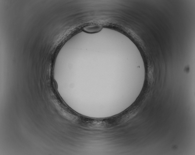 X0000116580493200912312017