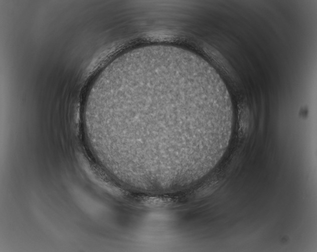 X0000116580494200912312017