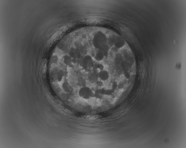 X0000116580495200912312017