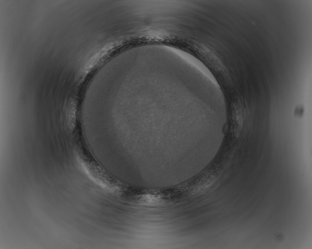 X0000116580496200912312017