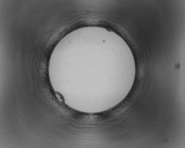 X0000116580497200912312017