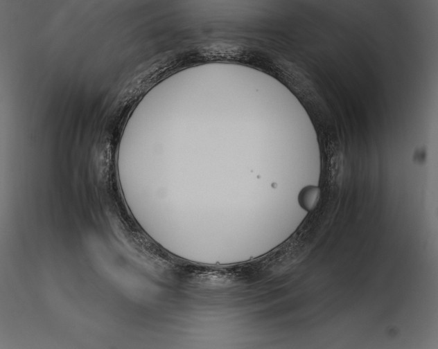 X0000116580498200912312017